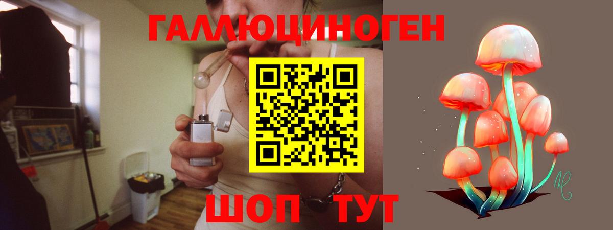 Псилоцибиновые грибы Psilocybe  Вход с VPN  Йошкар-Ола 